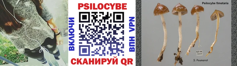 Псилоцибиновые грибы Psilocybine cubensis  где продают наркотики  Верея 